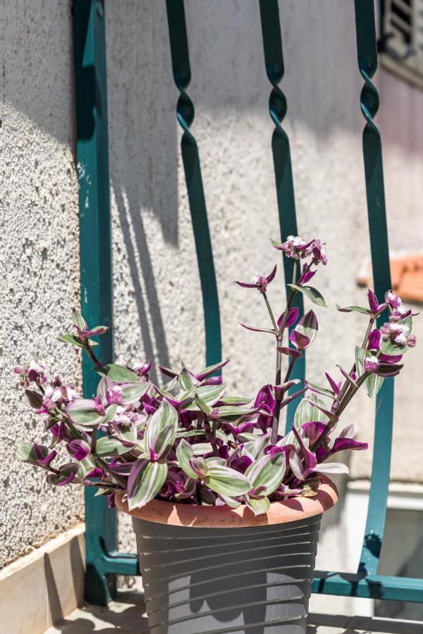 Luxury Apartment Silvana With Beautiful Garden Split Exteriör bild